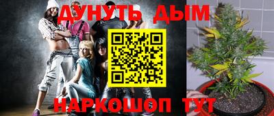 спайс Бийск