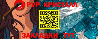 индика Камень-на-Оби