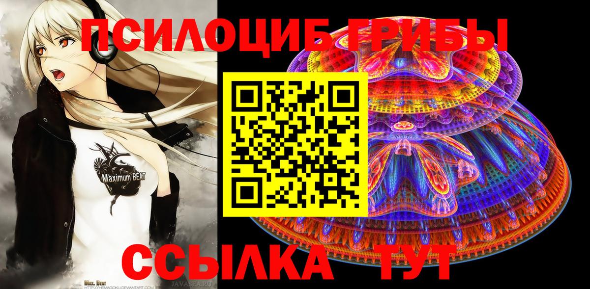 Галлюциногенные грибы Psilocybe Клин