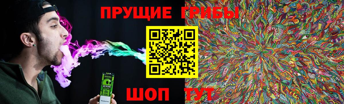 Псилоцибиновые грибы мицелий  Псилоцибиновые грибы Psilocybine cubensis  Клин  Вход с VPN 